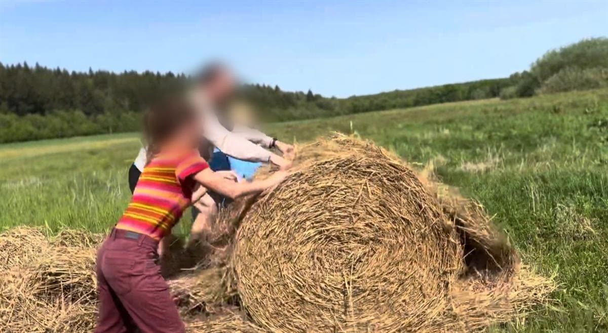 Trois personnes poussent ensemble une grosse botte de paille dans le champ.